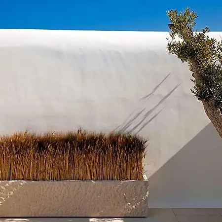 Kalesma Mykonos 5*