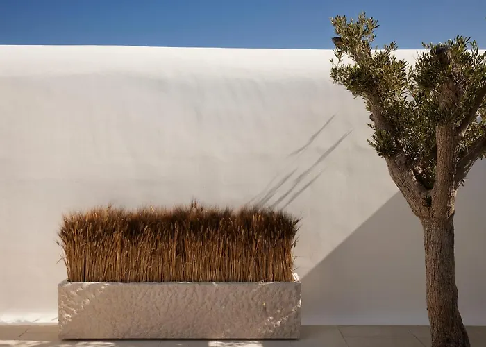 Hotel Kalesma Mykonos 5*